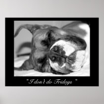 Sleeping boxer poster