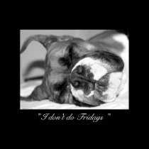 Sleeping boxer poster posters
