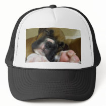 Sleeping Boxer puppy baseball cap hats