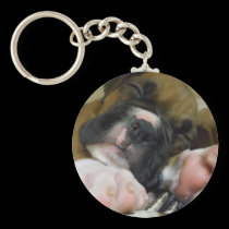 Sleeping Boxer puppy keychain keychains