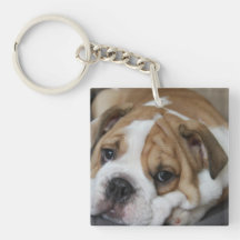 Sleeping Bulldog Acrylic Keychain
