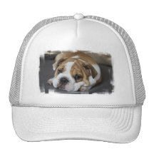 Sleeping Bulldog Baseball Hat
