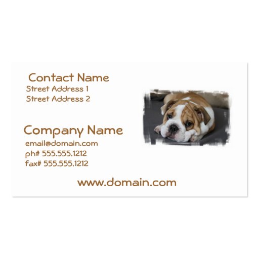 Sleeping Bulldog Business Cards (front side)