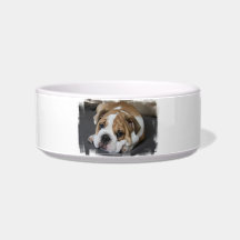 Sleeping Bulldog Pet Bowl