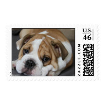 Sleeping Bulldog Postage Stamp
