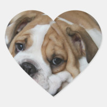 Sleeping Bulldog Stickers