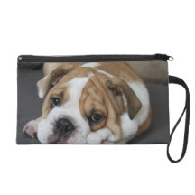 Sleeping Bulldog Wristlet