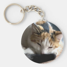 Sleeping Calico Keychains