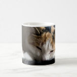 Sleeping Calico Mugs