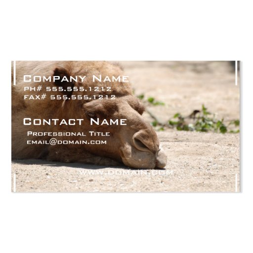 Sleeping Camel Business Card Templates (front side)