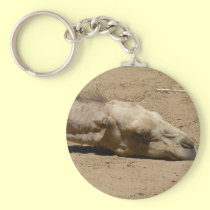 Sleeping camel keychains