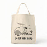 sleeping cat 2 canvas bag