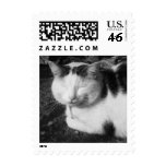 Sleeping Cat (Black & White Photography) - Small stamps