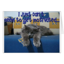 Sleeping Cat Cards