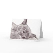 Sleeping Cat cards