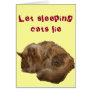 Sleeping cat