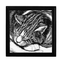 Sleeping Cat Drawing Jewelry Box