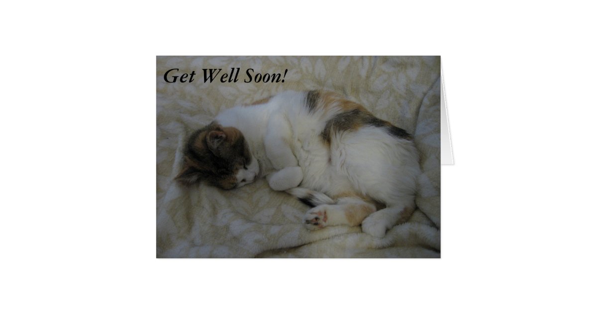 Sleeping Cat Get Well Soon Card 2 Zazzle sleeping-cat-get-well-soon-card-2-zazzle