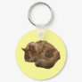 Sleeping cat