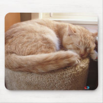 Sleeping Cat mousepads by clarachandler Sleeping Cat mousepads