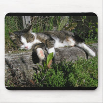 Sleeping cat mousepads