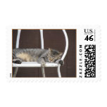 Sleeping Cat Postage Stamp