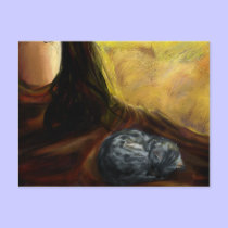 Sleeping Cat - postcard postcards