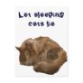 Sleeping cat