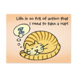 Sleeping Cat Post Cards