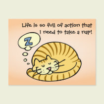 Sleeping Cat postcards