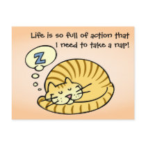 Sleeping Cat postcards
