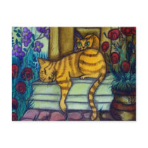 Sleeping Cat postcards