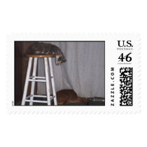 sleeping cat silly diamond dog postage by lakeviewclassof2006 sleeping cat silly diamond dog postage