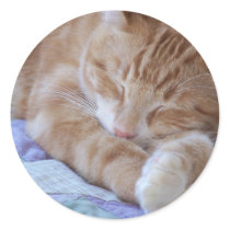 sleeping cat sticker by KatAnnette sleeping cat sticker