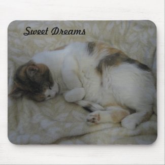 Sleeping Cat-Sweet Dreams