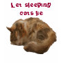 Sleeping cat