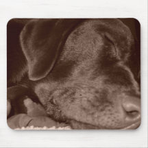 Sleeping Chocolate Lab Mouse Pad