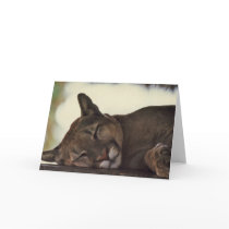 "Sleeping Couger" Wildlife Photo Greeting Card