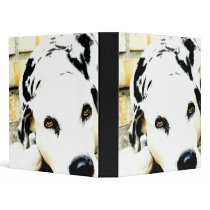 Sleeping Dalmatian Binders