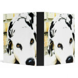 Sleeping Dalmatian Binders
