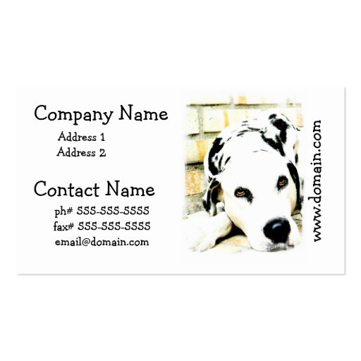 Sleeping Dalmatian Business Cards (front side)