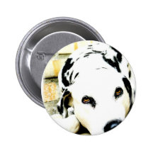 Sleeping Dalmatian Button