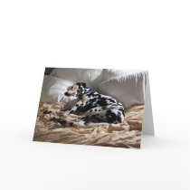 Sleeping Dalmatian Greeting Cards
