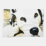 Sleeping Dalmatian Kitchen Towel