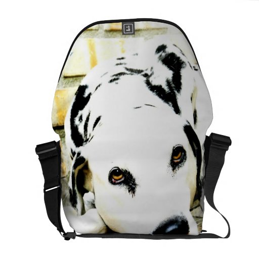 Sleeping Dalmatian Messenger Bag