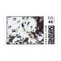 Sleeping Dalmatian Puppy postage