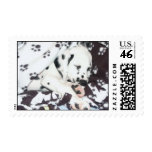 Sleeping Dalmatian Puppy Postage Stamps