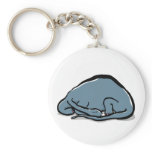 sleeping dinosaur key chains
