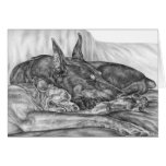 Sleeping Doberman Dogs Drawing by Kelli Swan cards