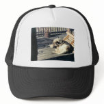 Sleeping_Dog Trucker Hats